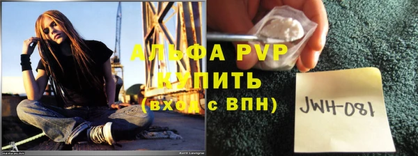 apvp Пересвет