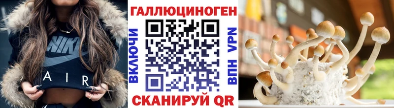 Галлюциногенные грибы Psilocybine cubensis  mega ONION  Суоярви  купить закладку 